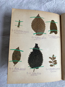 Swedish Herbier Book